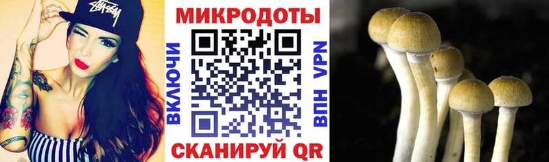 Галлюциногенные грибы ЛСД Пущино
